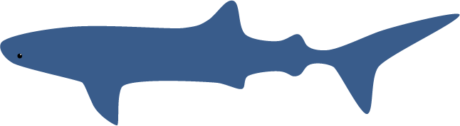 walhai